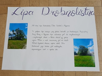 IMG20250603102813