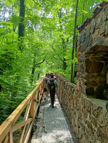 IMG20250604141133
