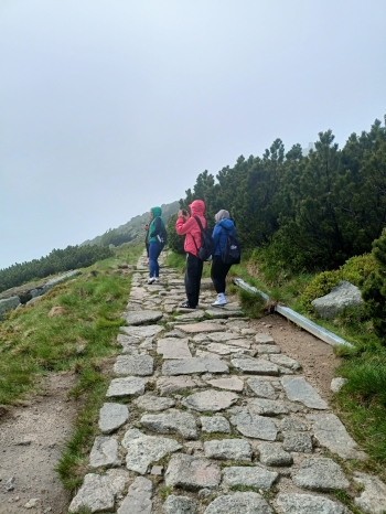 IMG20250605101707