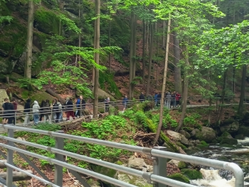 IMG20250605144424