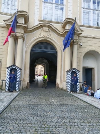 IMG20250606110956