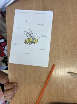 IMG_0784 (1).jpeg