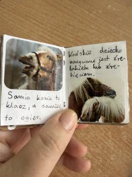 IMG_1360.jpeg