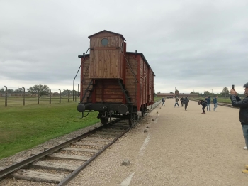 51
